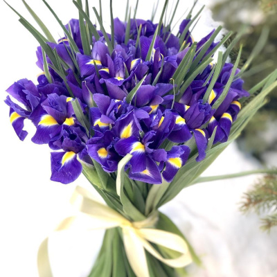 Букет из 25 Ирисов 7333
