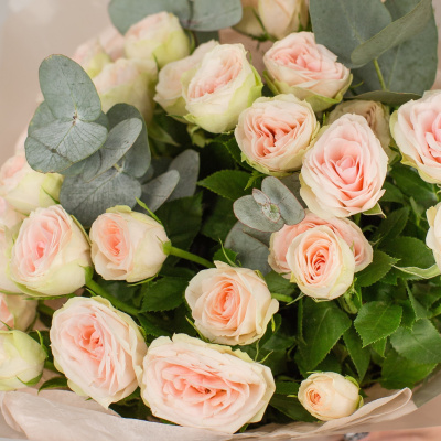 Букет из кустовых пионовидных кремовых роз с эвкалиптом N 50416