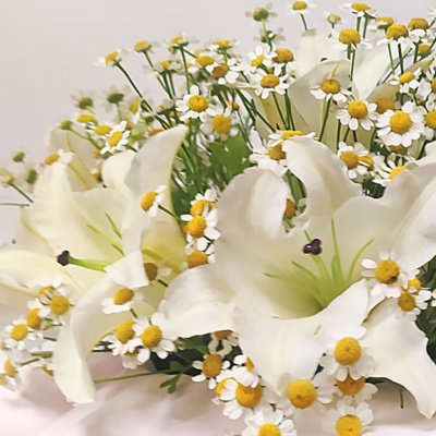 Коробка с цветами лилии и танацетум (ромашки) 51368Дв