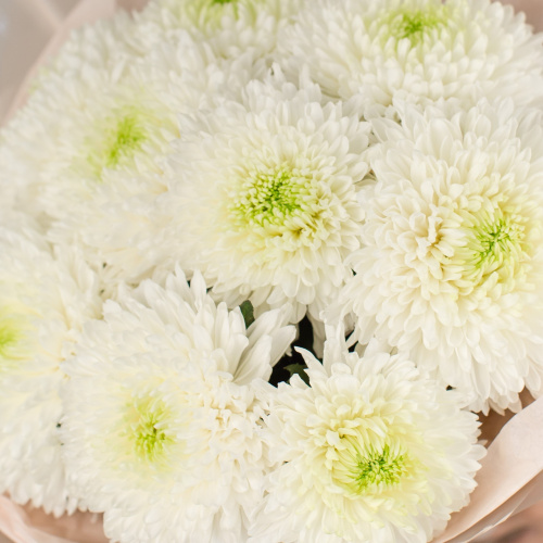 Букет из 9 одноголовых белых хризантем арт. 50444